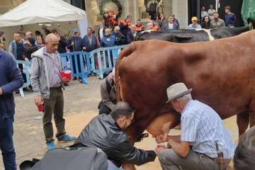 Los Llanos celebra el día grande de sus fiestas (Foto TA)